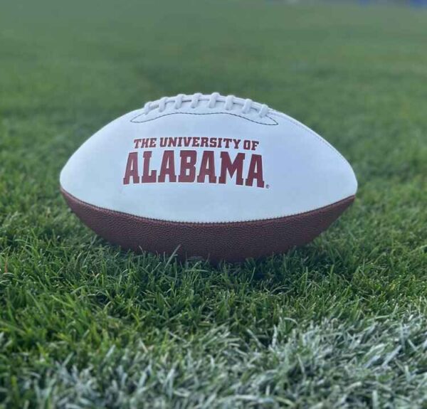 Ryan Williams Autographed Football - Image 3